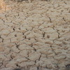 カンボジアの乾季
