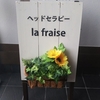 自分をよしよしと(^▽^)　サロン空き状況も！