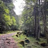 硫黄岳・横岳・赤岳