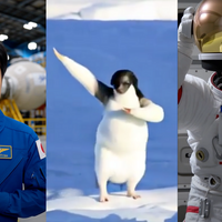 yohhatu1976のyohhatuのアンテナ