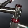 Nevi Titanium Bicycles チタン製自転車