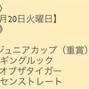 競馬予想 2018年11月20日