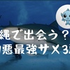 【沖縄で出会うかも？！凶暴サメ3選】怖い海の生物　沖縄本島　宮古島　石垣島　離島　サメ　サメ事故　人喰いザメ　イタチザメ　オオメジロザメ　ホワイトシャーク