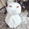 雪の日々