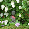 あじさい寺「高林寺」（二本松市）