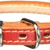 愛犬の安全と個性を引き出す！ペティオ ニュー丸首輪 40mm レッド レビュー：シンプルながらも高品質、その魅力を徹底解剖
