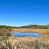 秋の八島ヶ原湿原をお散歩