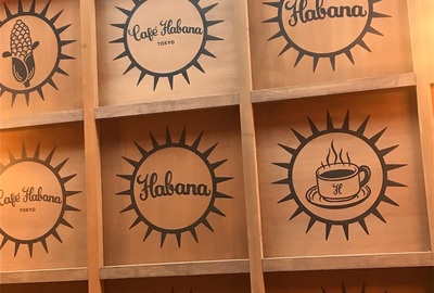 キューバ旅の相棒「ポン子」の紹介〜バックパッカーがそうじゃない人と2人旅するの巻〜【メキシコ・キューバ旅の序章編】