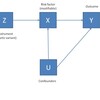 Mendelian Randomization/Instrumental Variable法