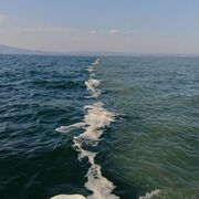 釣りにおいてなぜ潮目が釣れると言われているのか 釣れ然なるままに Written By 小泉 貴久