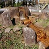 秋の大蔵池公園を意味もなく散策した