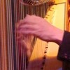 ライブ再び
