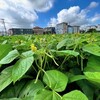 8月18日(金曜日)