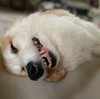 …またやらかす所でした…