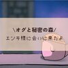 エンキ様に会いに来たよ#11/オグ森