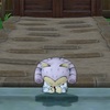 あのキラキラ初めて拾った！