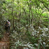 秋分の三辻山遊山　登山道
