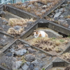 2018・12・13木曜日(大安)在宅介護から普通の生活を目指す～♪