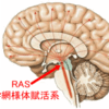 【すべては、「RAS」へのプログラミング次第】