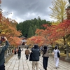 秋の遠足第5弾　高野山紅葉さんぽ