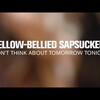 今日の動画。 - Yellow-Bellied Sapsuckers - Don't Think About Tomorrow Tonight, Hoss (Live at Radio Heartland)