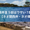 エセ関西弁言う奴はウザい？関西弁は消えるで【ネオ関西弁・ネオ標準語】