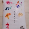 埼玉の米《彩のかがやき》はどこで売ってる？〜安いのに美味しいって本当か食べてみました🍚〜