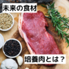 【持続可能な社会へ】未来の食材「培養肉」の可能性とは？