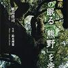 【和歌山】熊野速玉大社　太鼓橋