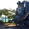 D51形684号機　東村山市運動公園