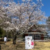 2024お花見、安曇野ちひろ公園へ