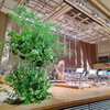 広響 音楽の花束 ～春～