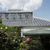 今週のお題「好きな公園」 ～初夏の箱根旅『強羅公園 熱帯植物館』～