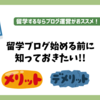 【留学ブログ始める前に】海外副業ブログを2年半運営中の私が言える事。～収益も公開～