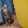 こどもの学校から着信。何事かと急ぎ折り返したらなんでもなかった話