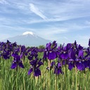 魅せる富士山