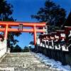 隠れた広島の恋愛神社・久井稲生神社