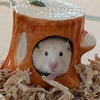 ハムスターくりちゃん🐹ハウスにちゃんと入っているのかな？