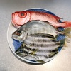熱海雑魚定食（カゴカキダイ・カイワリアジ・キントキ）