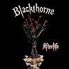 【楽曲紹介】ブラックソーン（BLACKTHORNE）「Afterlife」