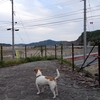「東北応援ツアー」