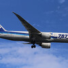 NH JA817A B787-8