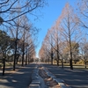 ㊗10コース目✨14km完全踏破！足立区生まれのふるさとウォーク：TOKYO WALKING MAP