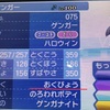 改造と乱数調整について ポケモンと共に 生きていく