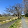 春の陽気を浴びて