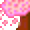 サクラ散る