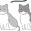 ねこ（♀）の色