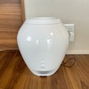 バルミューダの加湿器「Rain」のあえてイヤなところをレビュー