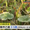 二十四節気の『霜降』暦通りの冷え込みに【熊本】
