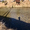 川に映る影